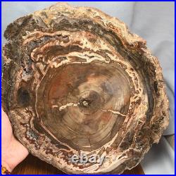 Top 320mm Natural Petrified Wood fossil Rough Slice Madagascar 3.69kg g7769 Top 320mm Natural Petrified Wood fossil Rough Slice Madagascar 3.69kg g7769