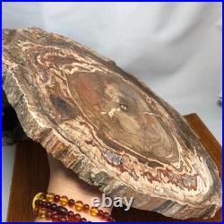 Top 320mm Natural Petrified Wood fossil Rough Slice Madagascar 3.69kg g7769 Top 320mm Natural Petrified Wood fossil Rough Slice Madagascar 3.69kg g7769