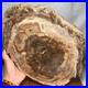 Top_330mm_Natural_Petrified_Wood_fossil_Rough_Slice_Madagascar_2_8kg_g7770_01_ld