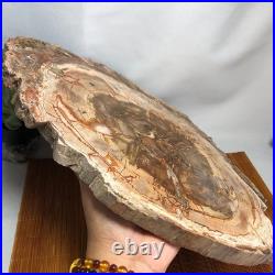 Top 330mm Natural Petrified Wood fossil Rough Slice Madagascar 2.8kg g7770