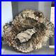 Top_395MM_Natural_Petrified_Wood_fossil_Rough_Slice_Madagascar_4_53kg_A4713_01_cjm