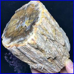 Top Natural Petrified Wood Fossil Crystal Polished Slice Madagascar 2113g A11859