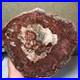 Top_Natural_pretty_Petrified_Wood_fossil_Rough_Slice_Madagascar_1_2kg_g7686_01_ho
