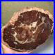 Top_Natural_pretty_Petrified_Wood_fossil_Rough_Slice_Madagascar_1_32kg_g7685_01_yyo