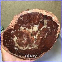 Top Natural pretty Petrified Wood fossil Rough Slice Madagascar 1.32kg g7685 Top Natural pretty Petrified Wood fossil Rough Slice Madagascar 1.32kg g7685