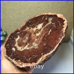 Top Natural pretty Petrified Wood fossil Rough Slice Madagascar 1.32kg g7685 Top Natural pretty Petrified Wood fossil Rough Slice Madagascar 1.32kg g7685