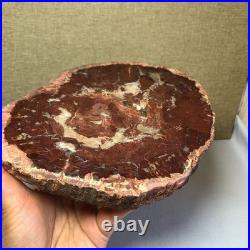 Top Natural pretty Petrified Wood fossil Rough Slice Madagascar 1.32kg g7685 Top Natural pretty Petrified Wood fossil Rough Slice Madagascar 1.32kg g7685