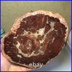 Top Natural pretty Petrified Wood fossil Rough Slice Madagascar 1.32kg g7685 Top Natural pretty Petrified Wood fossil Rough Slice Madagascar 1.32kg g7685