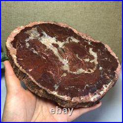 Top Natural pretty Petrified Wood fossil Rough Slice Madagascar 1.32kg g7685 Top Natural pretty Petrified Wood fossil Rough Slice Madagascar 1.32kg g7685