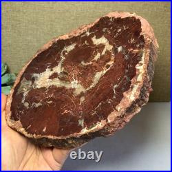 Top Natural pretty Petrified Wood fossil Rough Slice Madagascar 1.32kg g7685 Top Natural pretty Petrified Wood fossil Rough Slice Madagascar 1.32kg g7685