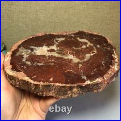 Top Natural pretty Petrified Wood fossil Rough Slice Madagascar 1.32kg g7685 Top Natural pretty Petrified Wood fossil Rough Slice Madagascar 1.32kg g7685