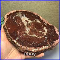 Top Natural pretty Petrified Wood fossil Rough Slice Madagascar 1.32kg g7685 Top Natural pretty Petrified Wood fossil Rough Slice Madagascar 1.32kg g7685