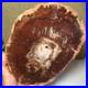 Top_Natural_pretty_Petrified_Wood_fossil_Rough_Slice_Madagascar_1_59kg_g7684_01_adsh