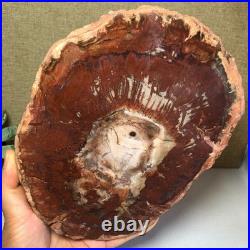 Top Natural pretty Petrified Wood fossil Rough Slice Madagascar 1.59kg g7684 Top Natural pretty Petrified Wood fossil Rough Slice Madagascar 1.59kg g7684
