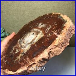 Top Natural pretty Petrified Wood fossil Rough Slice Madagascar 1.59kg g7684 Top Natural pretty Petrified Wood fossil Rough Slice Madagascar 1.59kg g7684