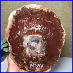 Top Natural pretty Petrified Wood fossil Rough Slice Madagascar 1.59kg g7684 Top Natural pretty Petrified Wood fossil Rough Slice Madagascar 1.59kg g7684