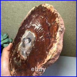 Top Natural pretty Petrified Wood fossil Rough Slice Madagascar 1.59kg g7684 Top Natural pretty Petrified Wood fossil Rough Slice Madagascar 1.59kg g7684