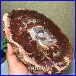 Top Natural pretty Petrified Wood fossil Rough Slice Madagascar 1.59kg g7684 Top Natural pretty Petrified Wood fossil Rough Slice Madagascar 1.59kg g7684