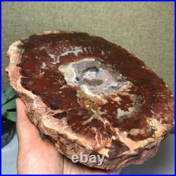Top Natural pretty Petrified Wood fossil Rough Slice Madagascar 1.59kg g7684 Top Natural pretty Petrified Wood fossil Rough Slice Madagascar 1.59kg g7684