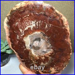 Top Natural pretty Petrified Wood fossil Rough Slice Madagascar 1.59kg g7684 Top Natural pretty Petrified Wood fossil Rough Slice Madagascar 1.59kg g7684