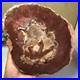 Top_Natural_pretty_Petrified_Wood_fossil_Rough_Slice_Madagascar_1_64kg_g7687_01_msh