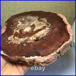 Top Natural pretty Petrified Wood fossil Rough Slice Madagascar 1.64kg g7687 Top Natural pretty Petrified Wood fossil Rough Slice Madagascar 1.64kg g7687
