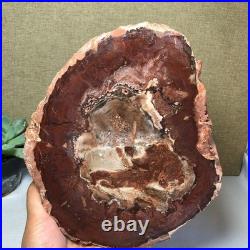 Top Natural pretty Petrified Wood fossil Rough Slice Madagascar 1.64kg g7687 Top Natural pretty Petrified Wood fossil Rough Slice Madagascar 1.64kg g7687