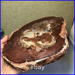 Top Natural pretty Petrified Wood fossil Rough Slice Madagascar 1.64kg g7687 Top Natural pretty Petrified Wood fossil Rough Slice Madagascar 1.64kg g7687