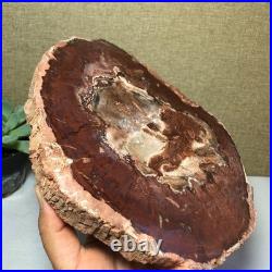 Top Natural pretty Petrified Wood fossil Rough Slice Madagascar 1.64kg g7687 Top Natural pretty Petrified Wood fossil Rough Slice Madagascar 1.64kg g7687