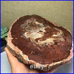 Top Natural pretty Petrified Wood fossil Rough Slice Madagascar 1.64kg g7687 Top Natural pretty Petrified Wood fossil Rough Slice Madagascar 1.64kg g7687