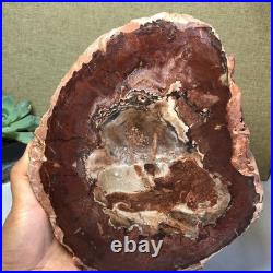 Top Natural pretty Petrified Wood fossil Rough Slice Madagascar 1.64kg g7687 Top Natural pretty Petrified Wood fossil Rough Slice Madagascar 1.64kg g7687