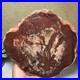 Top_Natural_pretty_Petrified_Wood_fossil_Rough_Slice_Madagascar_2_23kg_g7683_01_qtzs