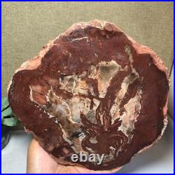 Top Natural pretty Petrified Wood fossil Rough Slice Madagascar 2.23kg g7683 Top Natural pretty Petrified Wood fossil Rough Slice Madagascar 2.23kg g7683