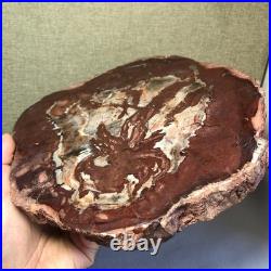 Top Natural pretty Petrified Wood fossil Rough Slice Madagascar 2.23kg g7683 Top Natural pretty Petrified Wood fossil Rough Slice Madagascar 2.23kg g7683