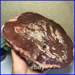 Top Natural pretty Petrified Wood fossil Rough Slice Madagascar 2.23kg g7683 Top Natural pretty Petrified Wood fossil Rough Slice Madagascar 2.23kg g7683