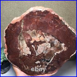 Top Natural pretty Petrified Wood fossil Rough Slice Madagascar 2.23kg g7683 Top Natural pretty Petrified Wood fossil Rough Slice Madagascar 2.23kg g7683
