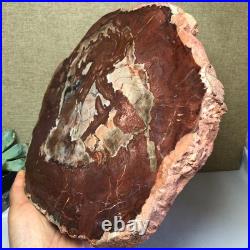 Top Natural pretty Petrified Wood fossil Rough Slice Madagascar 2.23kg g7683 Top Natural pretty Petrified Wood fossil Rough Slice Madagascar 2.23kg g7683