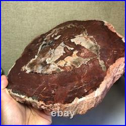 Top Natural pretty Petrified Wood fossil Rough Slice Madagascar 2.23kg g7683 Top Natural pretty Petrified Wood fossil Rough Slice Madagascar 2.23kg g7683