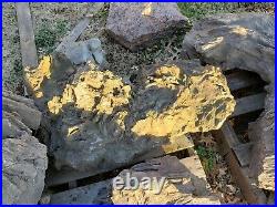 Tree Trunks And More Petrified Wood Large Lot And Pieces