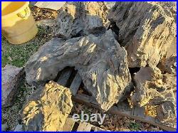 Tree Trunks And More Petrified Wood Large Lot And Pieces