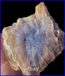 UV Reactive! Pink Blue Translucent Limb Cast Petrified Wood Opalized Agatized