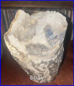 Ultra RARE Petrified Wood U. S. Specimen with Quartz Crystals NOT FROM CHINA