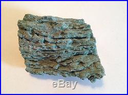 Ultra Rare Green Petrified Wood- excellent surface features (approx. 299 grams)