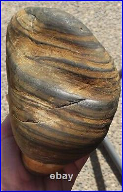 Unique Piece Of Striped Two Tone Mother load Natural Petrified Wood