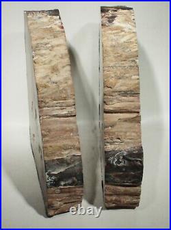 VINTAGE GUM PETRIFIED WOOD BOOKENDS FROM VANTAGE WASHINGTON 7 x 16 PAIR WOW