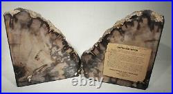 VINTAGE GUM PETRIFIED WOOD BOOKENDS FROM VANTAGE WASHINGTON 7 x 16 PAIR WOW