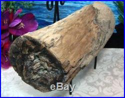 VIRGIN VALLEY OPAL Petrified WoodRARE LARGE COMPLETE ROUND LOG/BRANCH 10/8 LBS