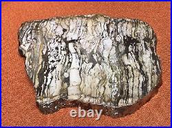VTG Petrified Wood Silver & Gold Edged Platter Mineral Display Piece By Rablabs