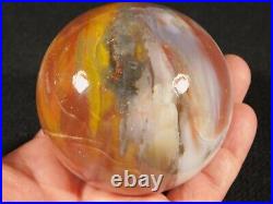 Very Colorful Petrified Rainbow Wood Fossil SPHERE From Arizona 555gr