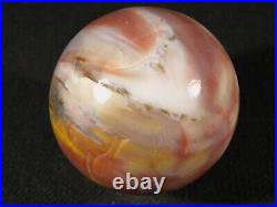 Very Colorful Petrified Rainbow Wood Fossil SPHERE From Arizona 555gr